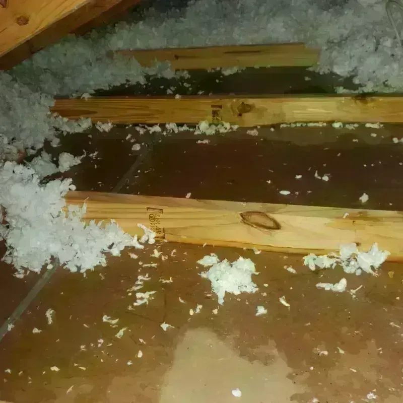 Attic Water Damage in Napoleon, MI