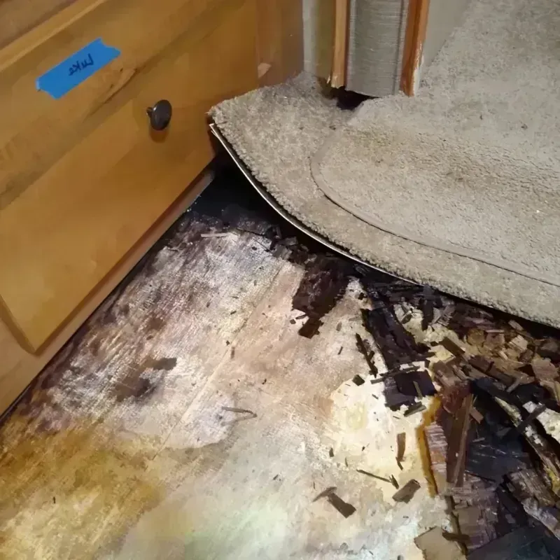 Wood Floor Water Damage in Napoleon, MI